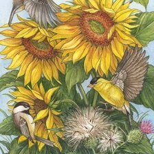 Схема вышивки «птицы»