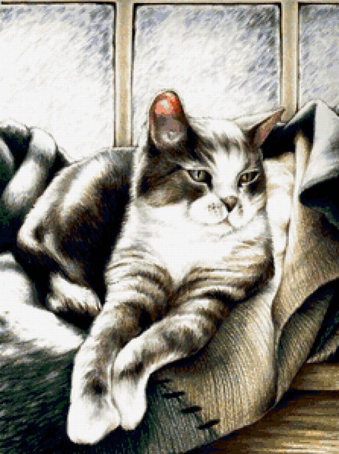 Кошка у окошка... - животные - предпросмотр
