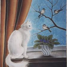 Кошка у окошка...