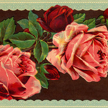 Схема вышивки «розы»