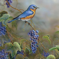 Схема вышивки «Виноград»