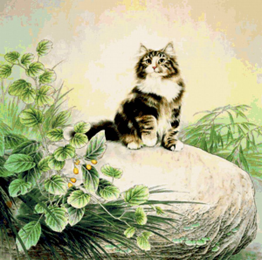 Котик - кошки, коты, животные - предпросмотр