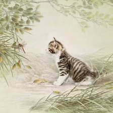 Схема вышивки «Интерес»