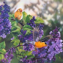 Схема вышивки «Птицы и цветы»