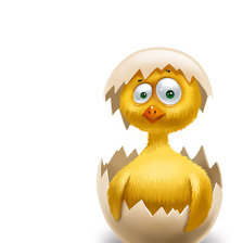 Схема вышивки «цыпленок»