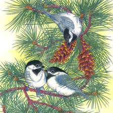 Схема вышивки «птички»