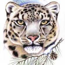 Схема вышивки «барс»