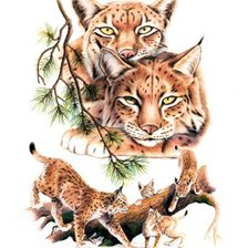 Схема вышивки «рыси»