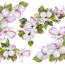 Схема вышивки «№248707»