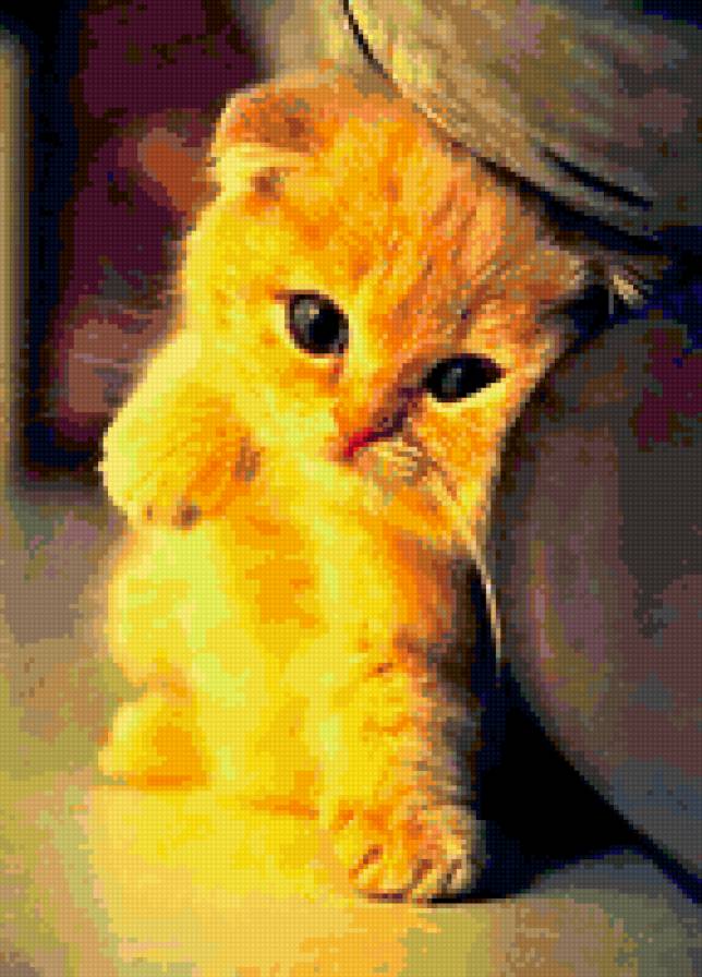 киса - предпросмотр