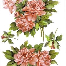 Схема вышивки «№248736»