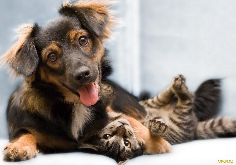 ДРУЗЬЯ - оригинал