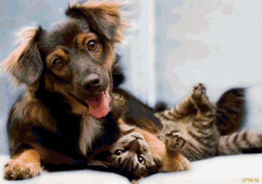 ДРУЗЬЯ - предпросмотр