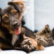 Схема вышивки «ДРУЗЬЯ»