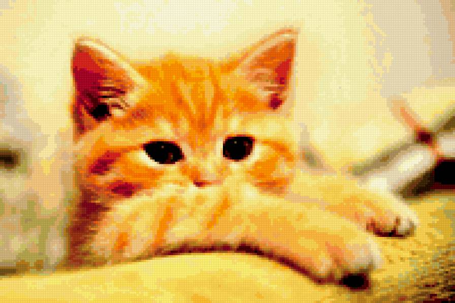 киса - предпросмотр