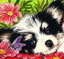 Милая собачка