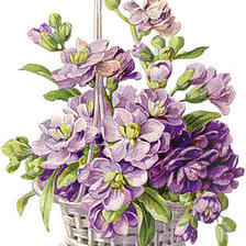 Схема вышивки «№248889»