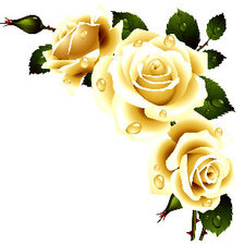 Схема вышивки «Розы»