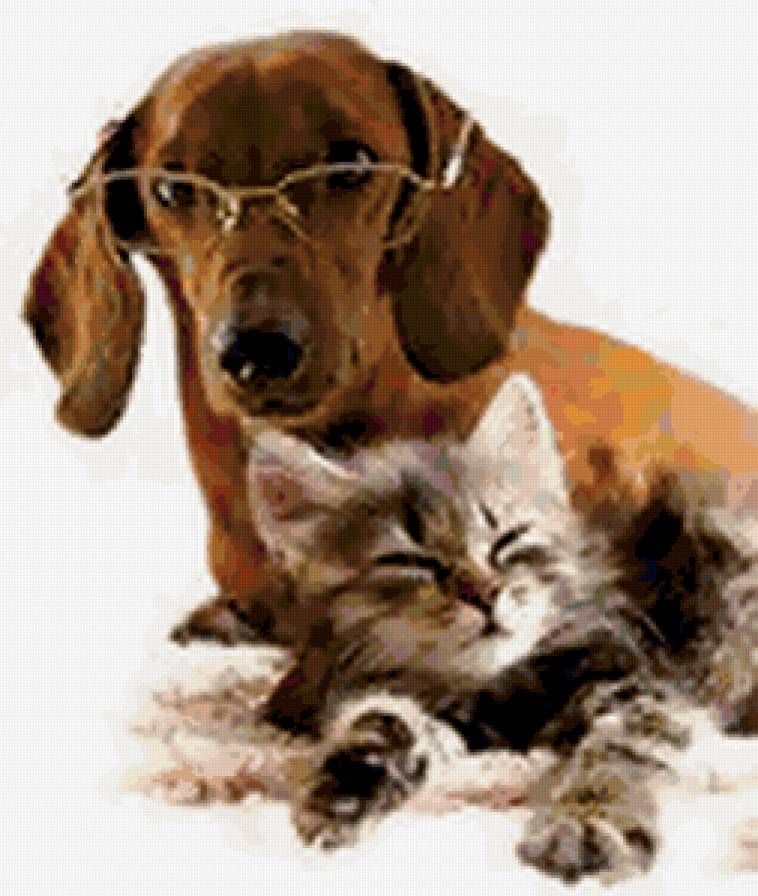 Друзья - котенок, собака - предпросмотр