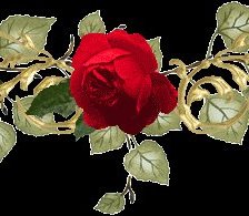 Схема вышивки «Розы»