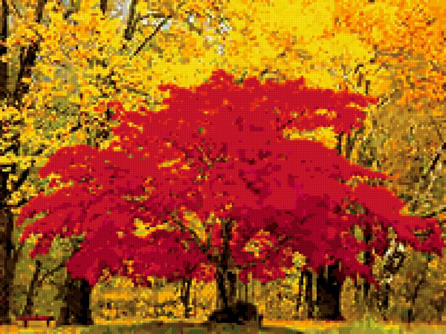 Осень - предпросмотр