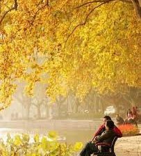 Схема вышивки «Осень.»