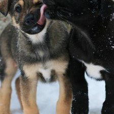 Схема вышивки «Забота»