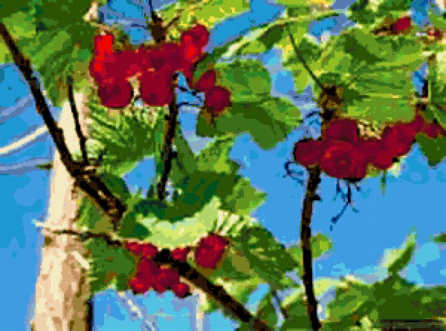 Смородина. - ягоды, лето, кухня - предпросмотр