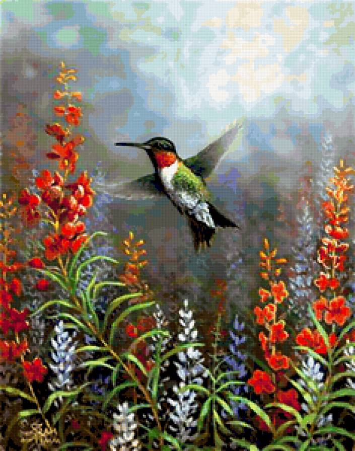 Колибри - птицы, природа, цветы, колибри - предпросмотр