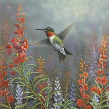 Схема вышивки «Колибри»