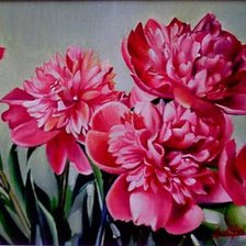 Схема вышивки «пионы»