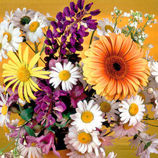 Схема вышивки «полевые цветы»