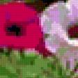 Предпросмотр схемы вышивки «Петунии.» (№249153)