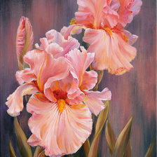 Схема вышивки «Розовые ирисы»