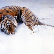 Схема вышивки «Первый снег»