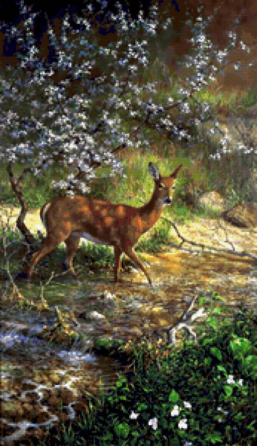 Олень - природа, олени, животные, пейзаж, река - предпросмотр