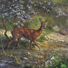 Схема вышивки «Олень»