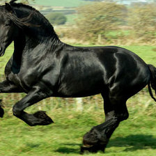 Схема вышивки «конь»
