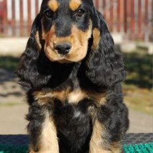 Схема вышивки «№249307»