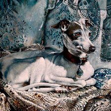 Схема вышивки «Неженка»