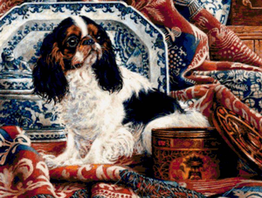 Красавец кавалер. - кавалер-кинг-чарльз-спаниель, животные, спаниель, собаки - предпросмотр