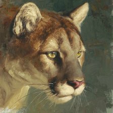 Схема вышивки «Пума»