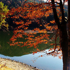 Схема вышивки «Осень на Селигере»