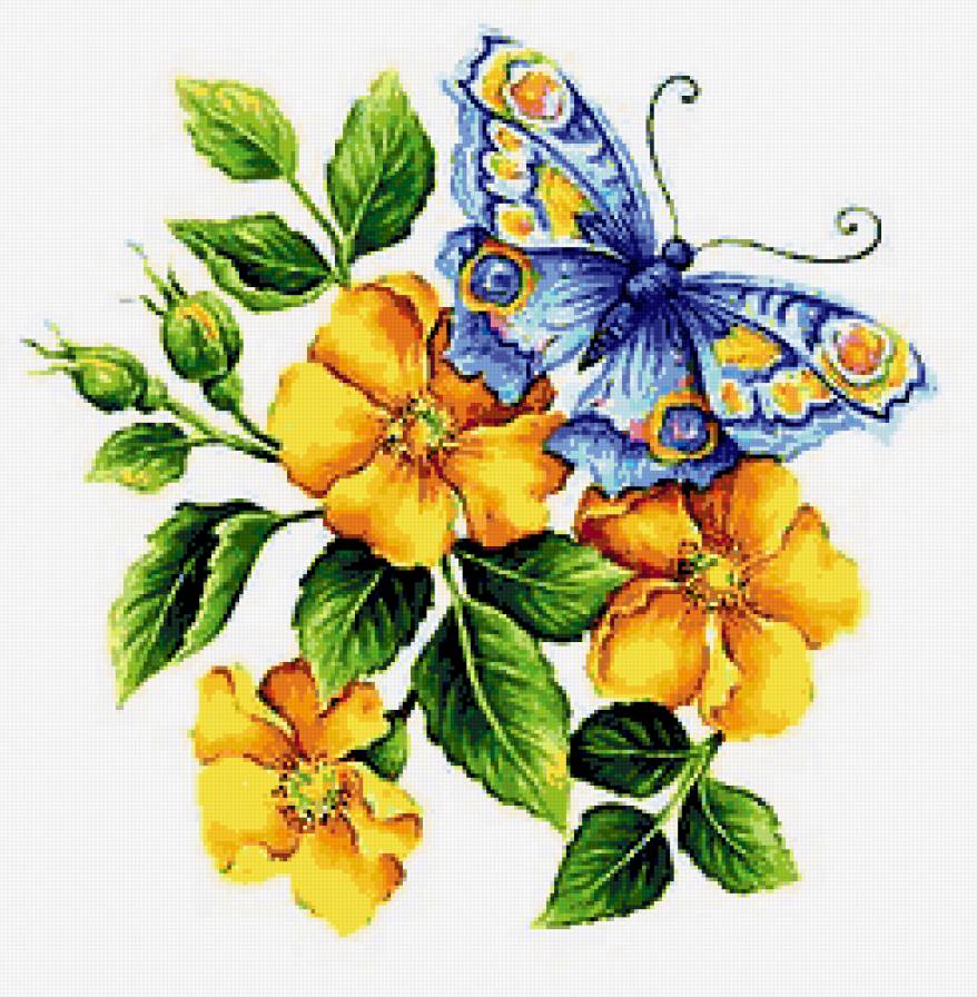 Variant 4 - предпросмотр