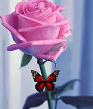 Схема вышивки «№249571»