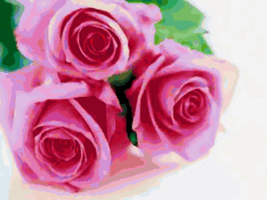 №249606 - розы, цветы - предпросмотр