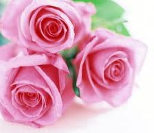 Схема вышивки «№249606»