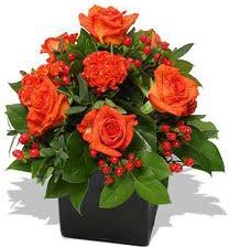 Схема вышивки «№249609»