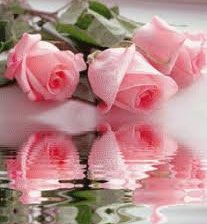 Схема вышивки «№249610»