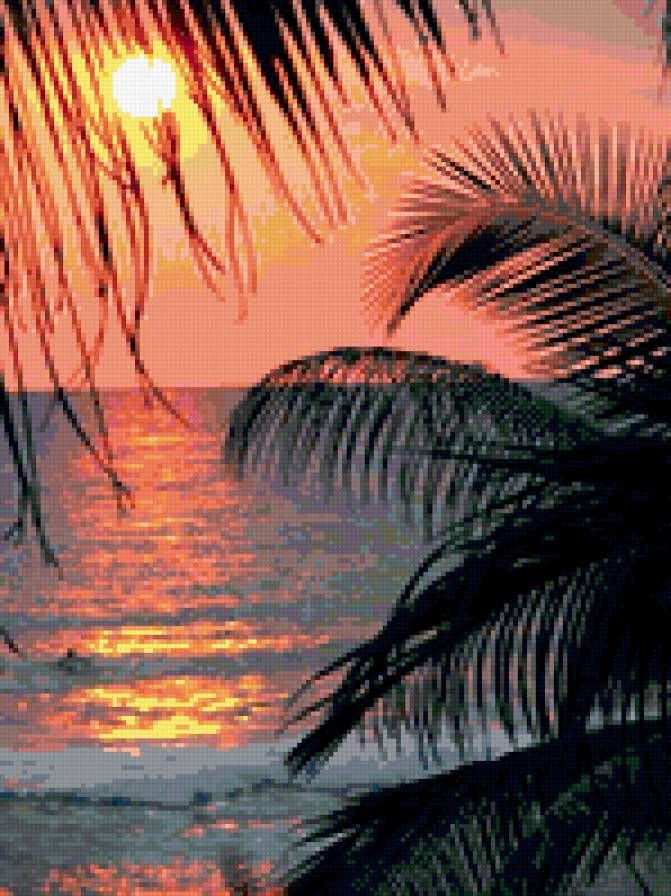 Закат - пальмы, закат, море - предпросмотр